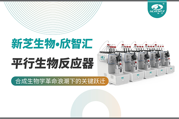 培养菌株和评估工艺参数影响太难太慢？平行生物反应器提供关键解决方案！