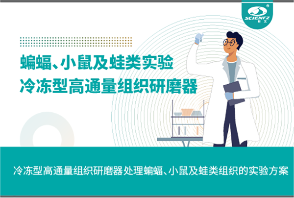冷冻型高通量组织研磨器处理蝙蝠、小鼠及蛙类组织的实验方案